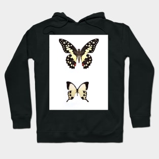 WHITE BUTTERFLY BUTTERFLIES PRINT BOTANICAL Hoodie